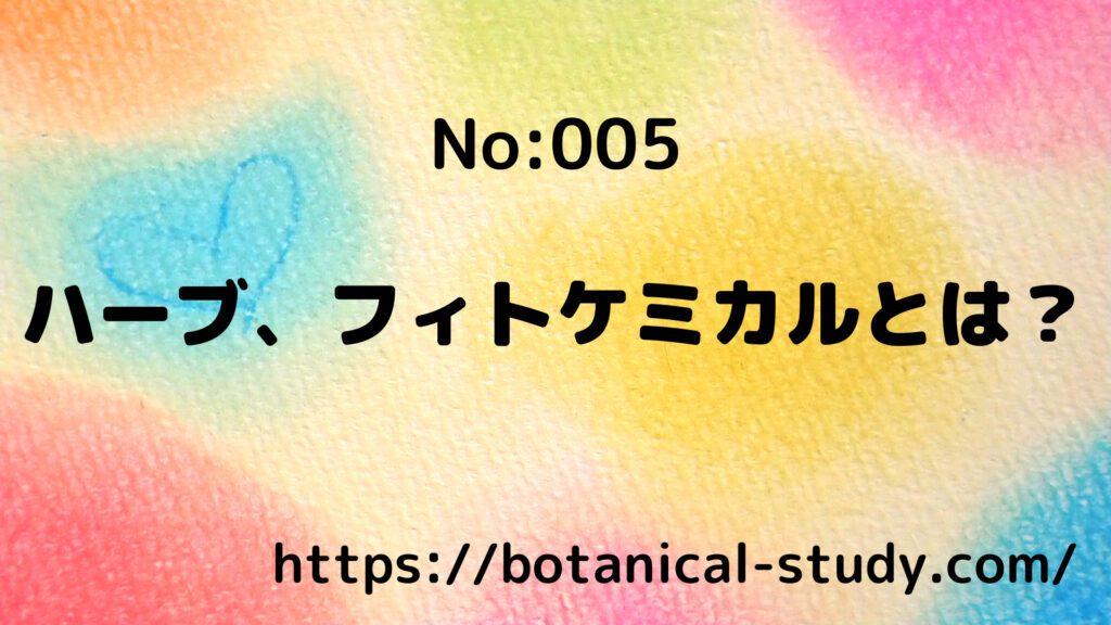 Cジャスミン瑠璃地楽と助手ゼラニウムが教えるハーブ、フィトケミカル/アロマハーブ記事005＠botanical-study