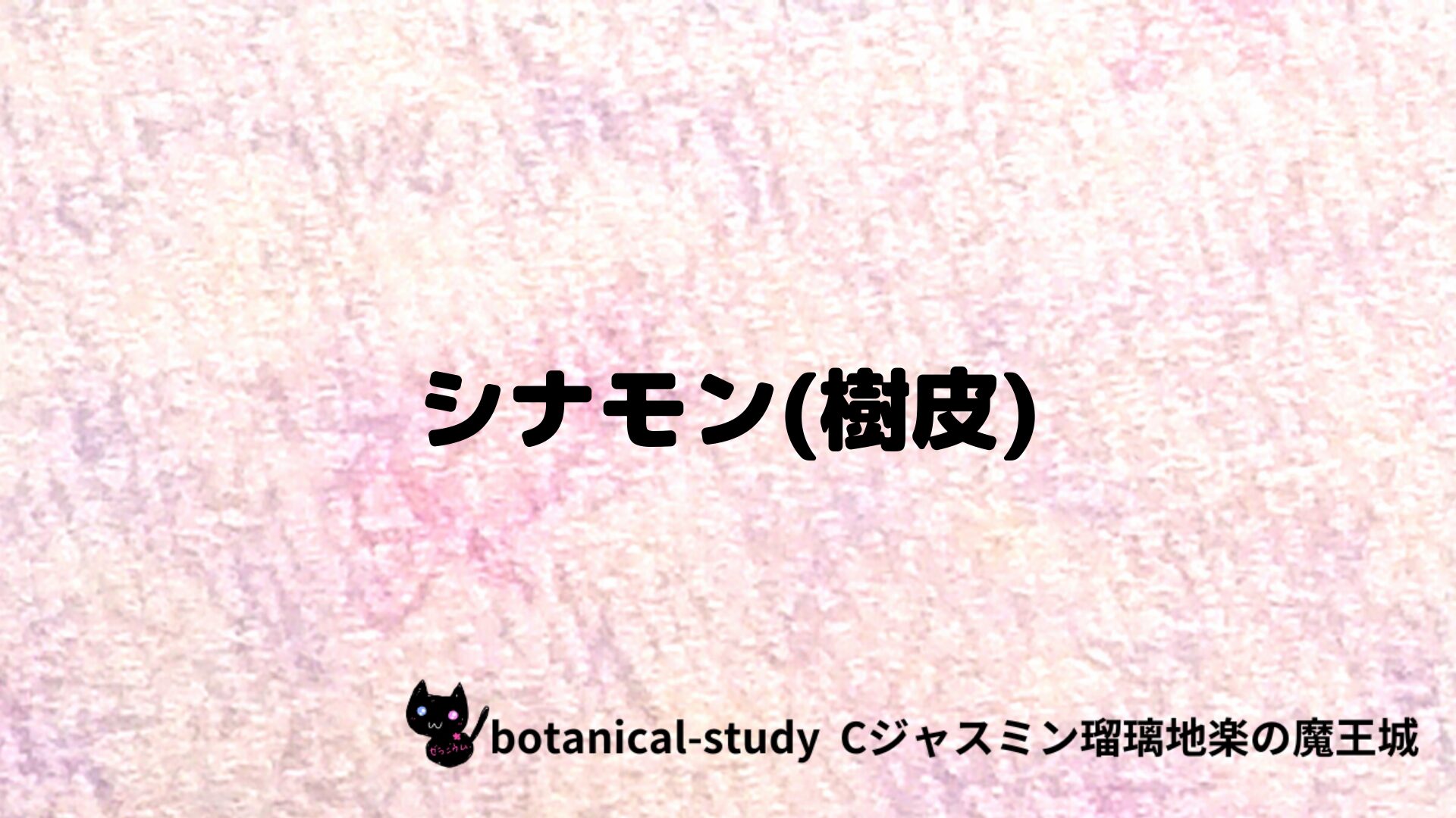 シナモン樹皮のアロマハーブプチ辞典クイズ用アイキャッチ＠botanical-study