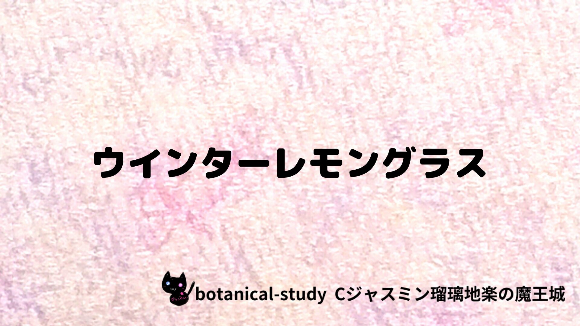 ウインターレモングラスのアロマハーブプチ辞典クイズ用アイキャッチ＠botanical-study