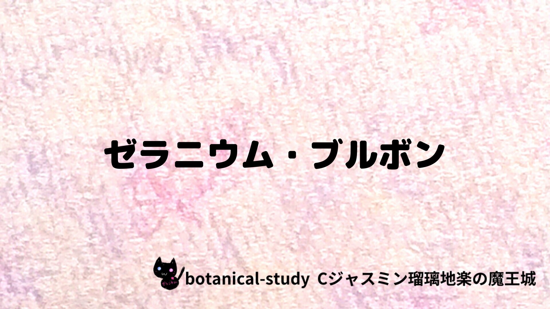 ゼラニウム・ブルボンのアロマハーブプチ辞典クイズ用アイキャッチ＠botanical-study