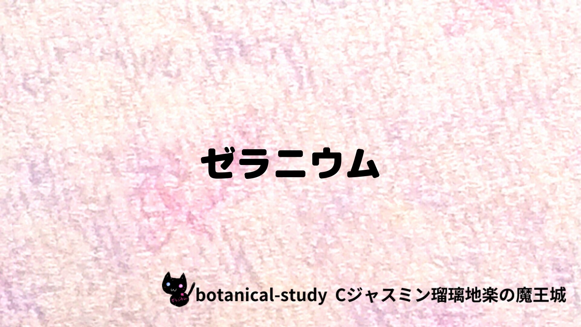 ゼラニウムのアロマハーブプチ辞典クイズ用アイキャッチ＠botanical-study/ハーブ