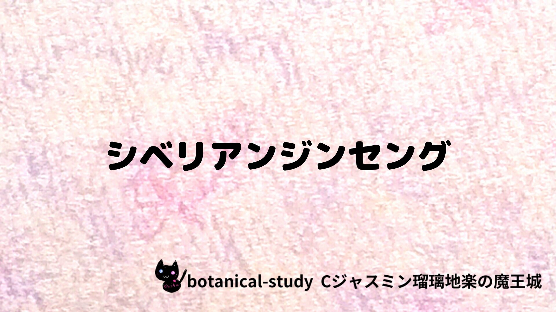 シベリアンジンセングのアロマハーブプチ辞典クイズ用アイキャッチ＠botanical-study/ハーブ