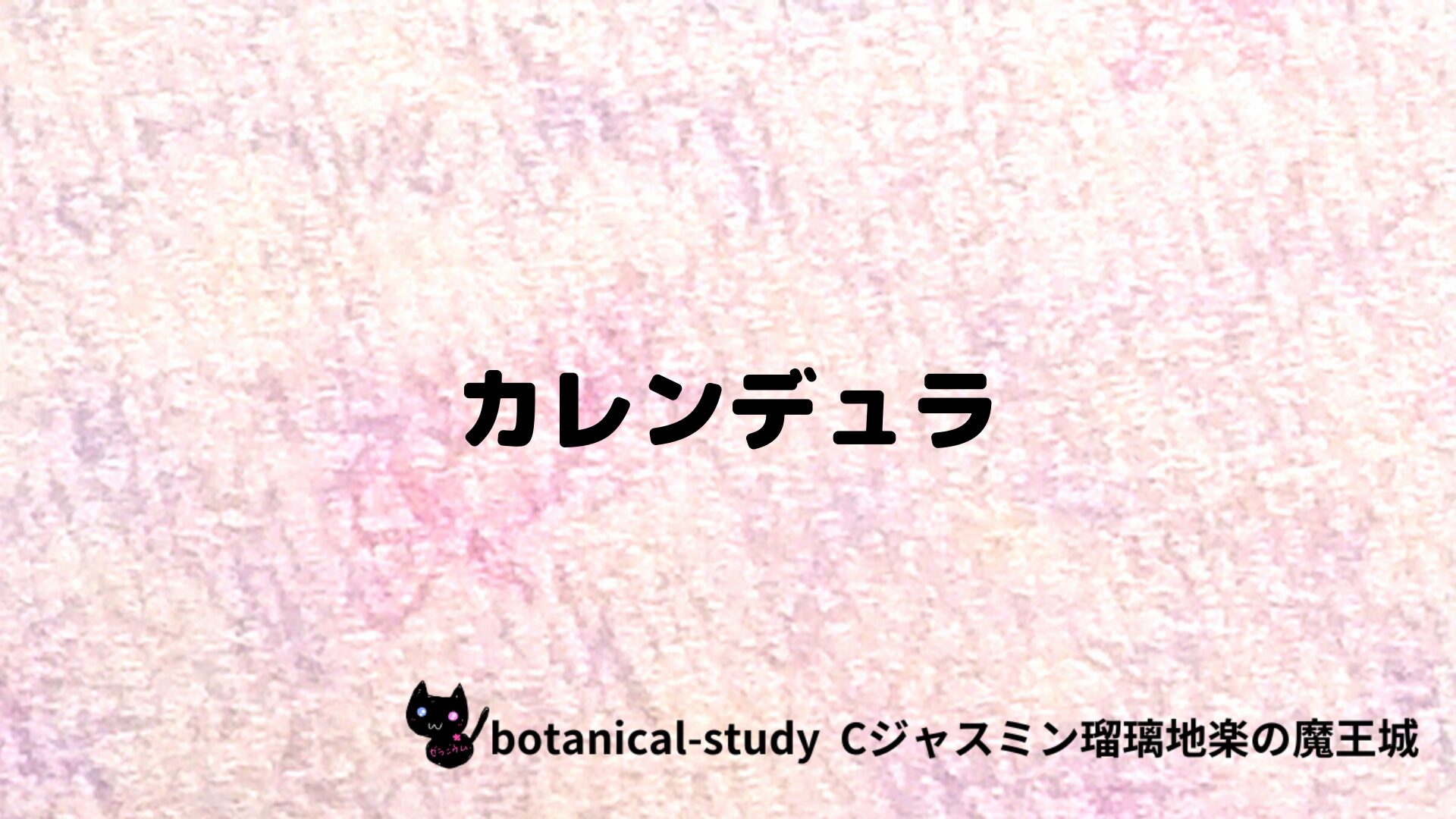 カレンデュラのアロマハーブプチ辞典クイズ用アイキャッチ＠botanical-study/ハーブ