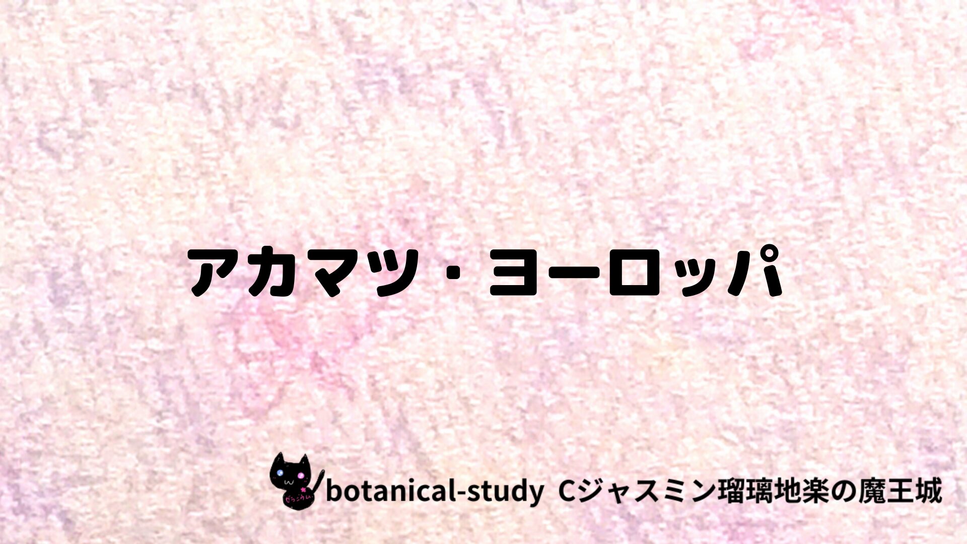 アカマツ・ヨーロッパのアロマハーブプチ辞典クイズ用アイキャッチ＠botanical-study