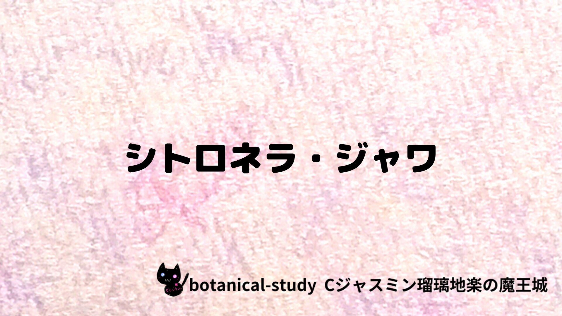 シトロネラ・ジャワのアロマハーブプチ辞典クイズ用アイキャッチ＠botanical-study