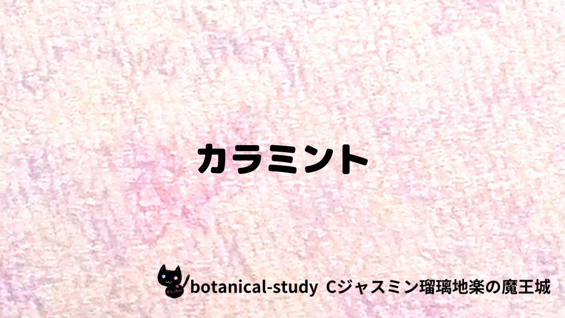 カラミントのアロマハーブプチ辞典クイズ用アイキャッチ＠botanical-study