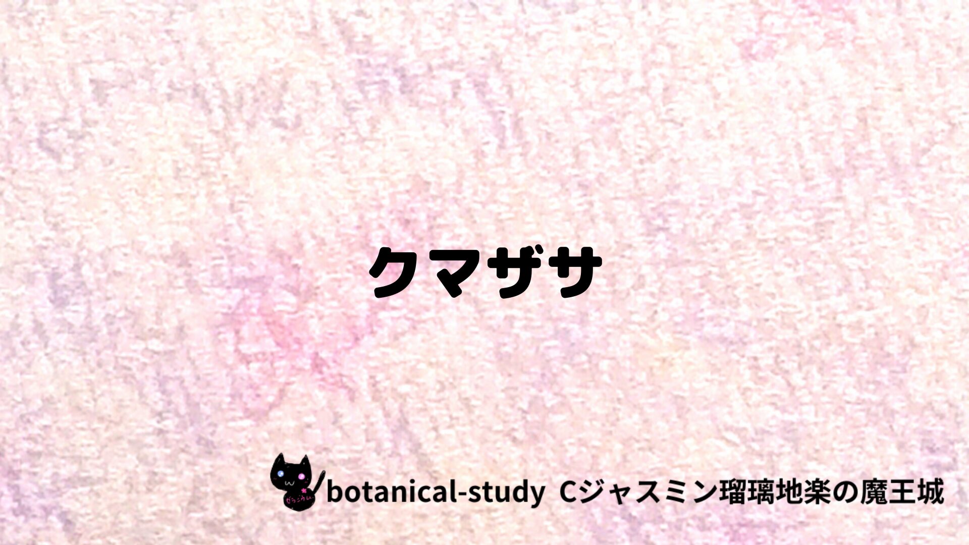 クマザサのアロマハーブプチ辞典クイズ用アイキャッチ＠botanical-study/ハーブ