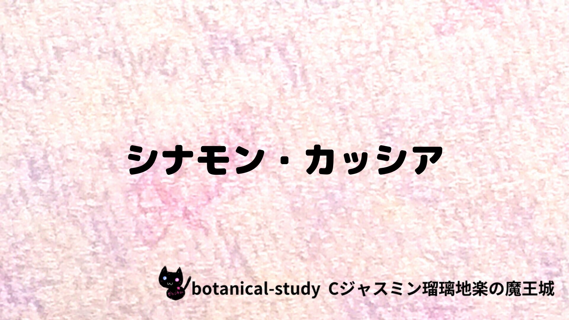 シナモン・カッシアのアロマハーブプチ辞典クイズ用アイキャッチ＠botanical-study