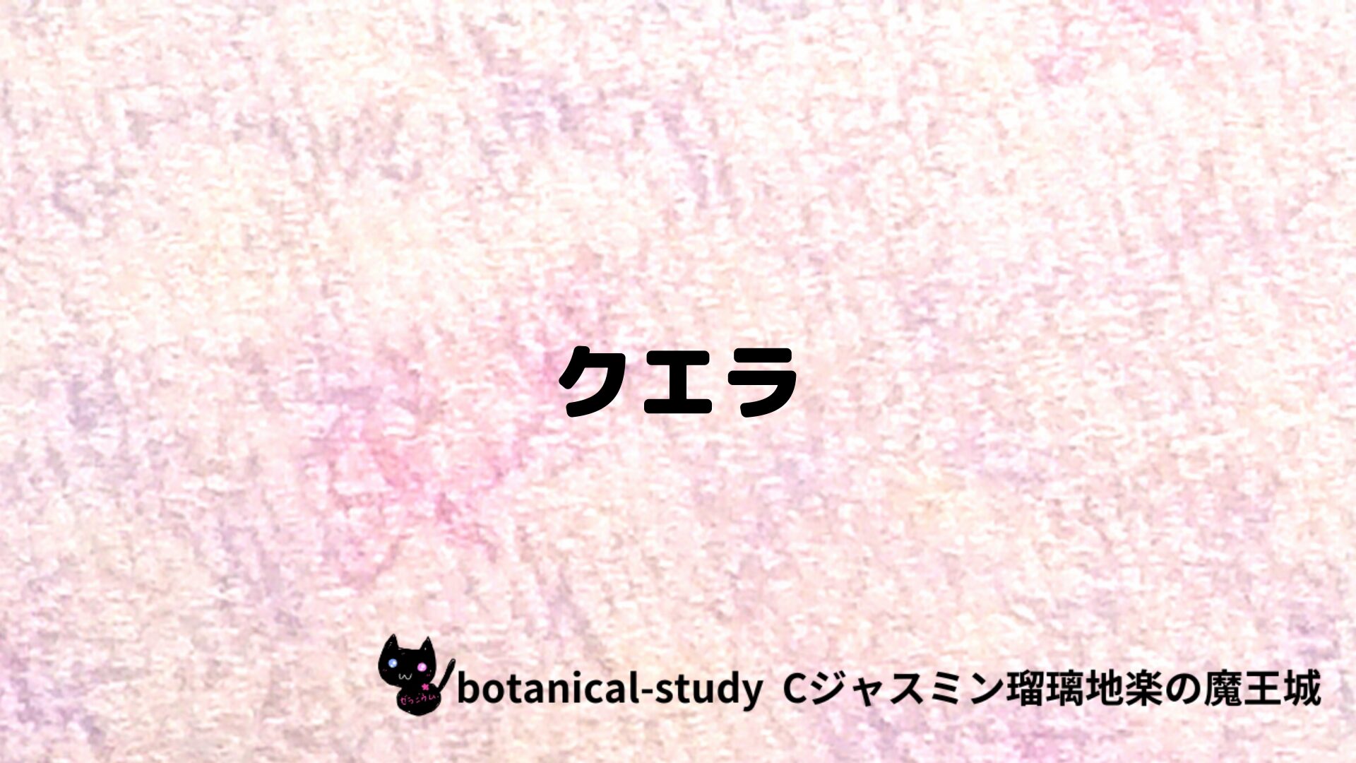 クエラのアロマハーブプチ辞典クイズ用アイキャッチ＠botanical-study