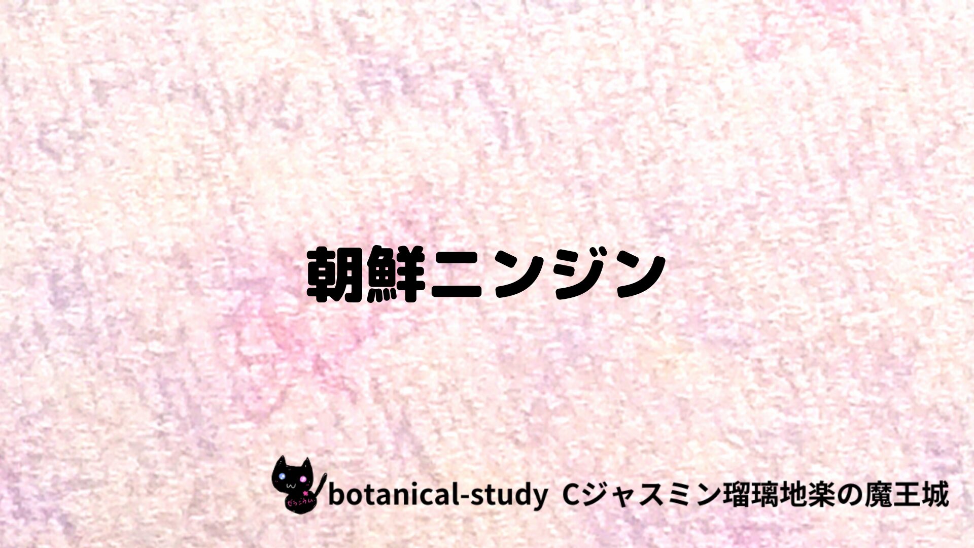 朝鮮ニンジンのアロマハーブプチ辞典クイズ用アイキャッチ＠botanical-study/ハーブ