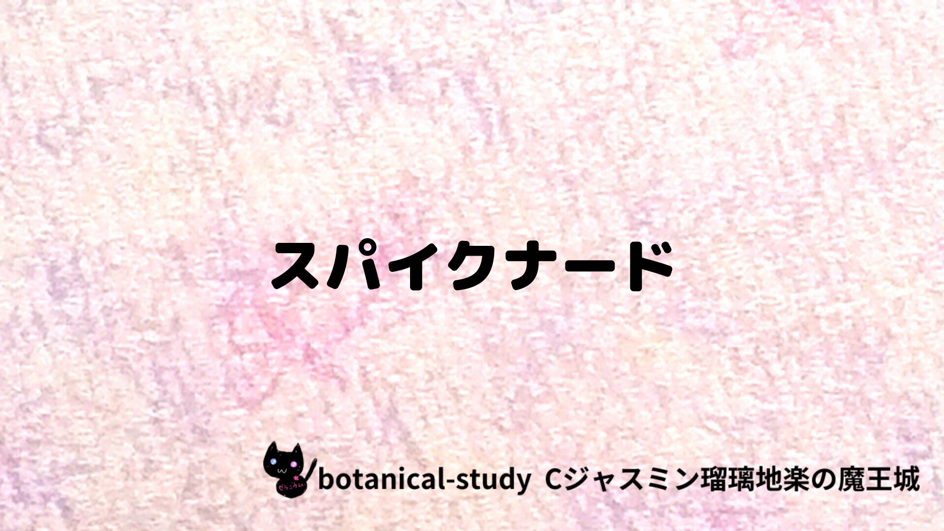 スパイクナードのアロマハーブプチ辞典クイズ用アイキャッチ＠botanical-study