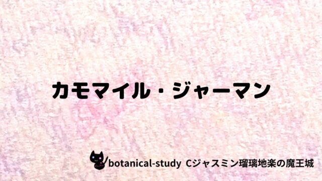 カモマイル・ジャーマン：プチ辞典クイズ