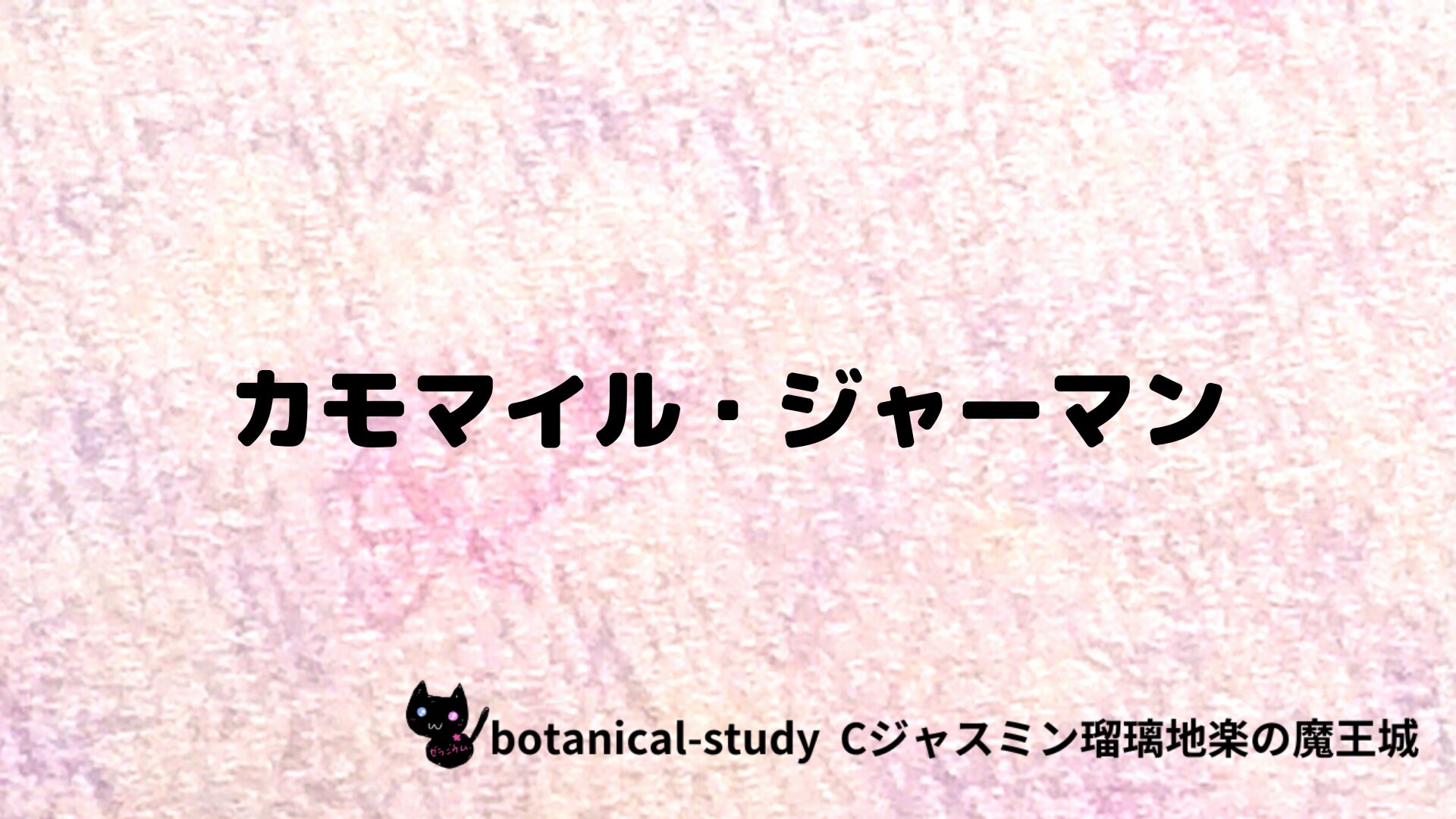 カモマイル・ジャーマンのアロマハーブプチ辞典クイズ用アイキャッチ＠botanical-study/ハーブ