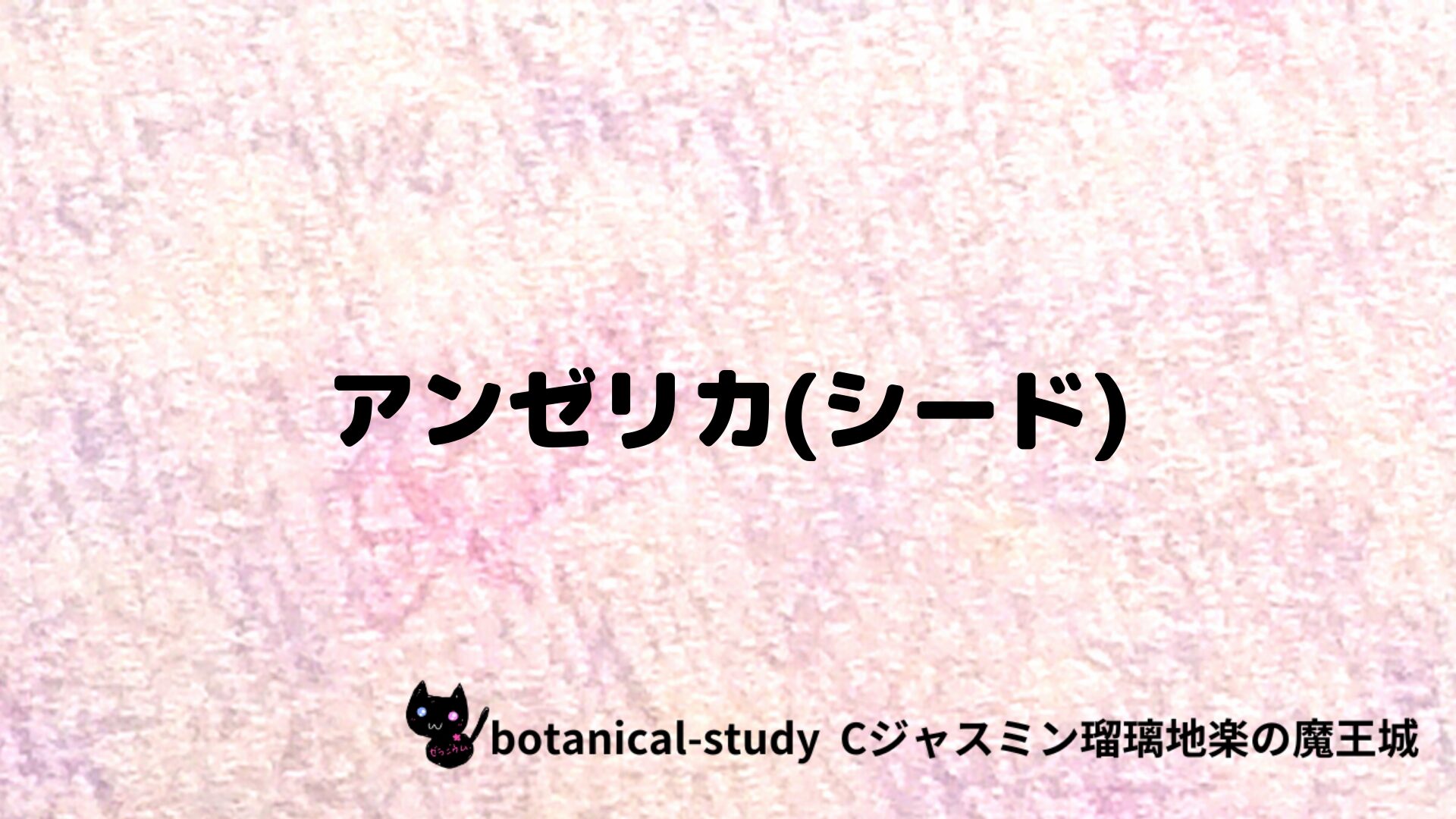 アンゼリカ(シード)のアロマハーブプチ辞典クイズ用アイキャッチ＠botanical-study