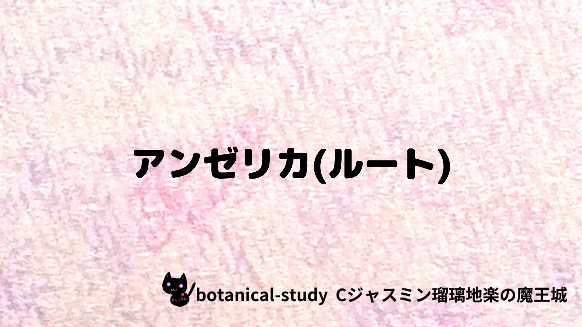 アンゼリカ(ルート)のアロマハーブプチ辞典クイズ用アイキャッチ＠botanical-study