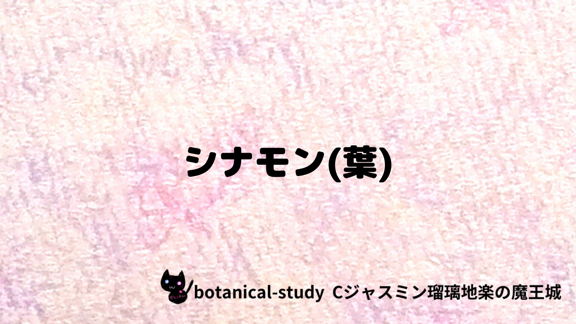 シナモン葉のアロマハーブプチ辞典クイズ用アイキャッチ＠botanical-study