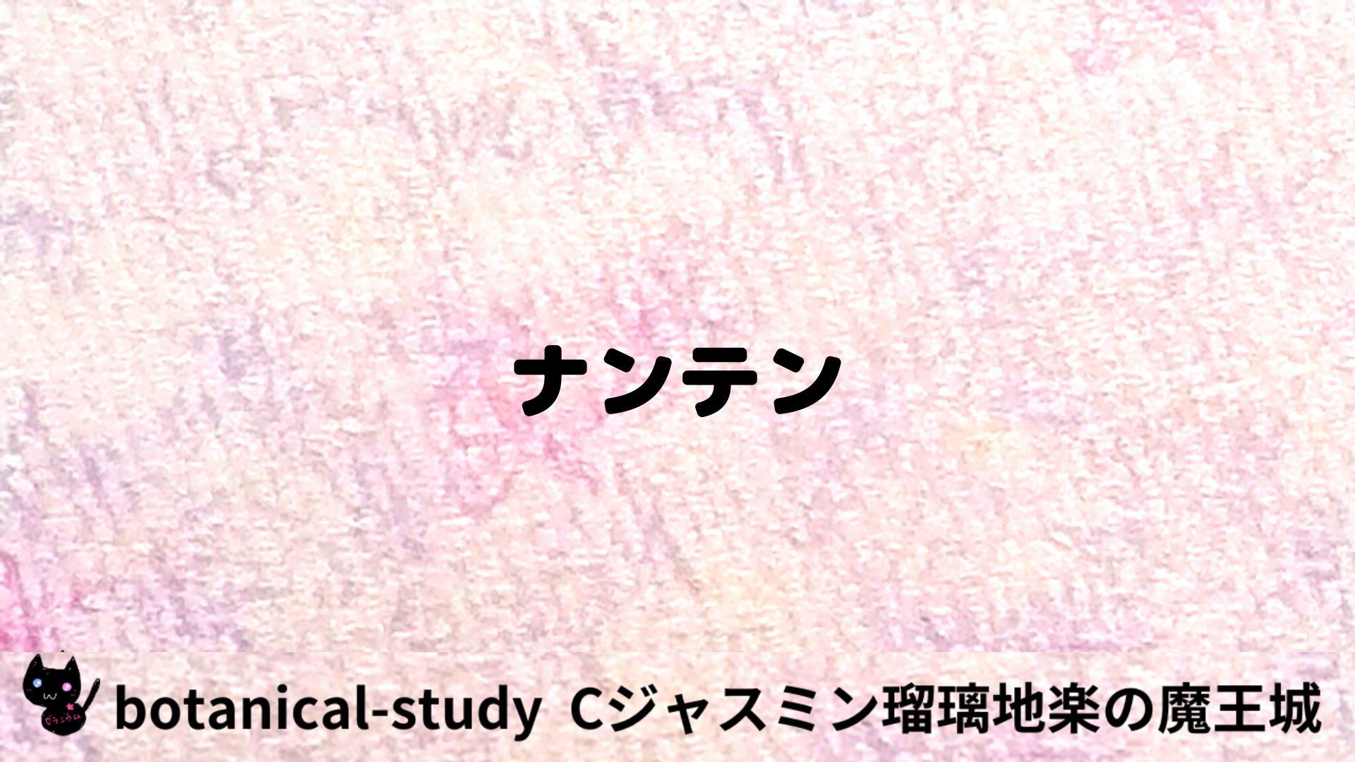 nandina-ナンテン/アイキャッチ-aromatherapy-herbs-petit-dictionary-botanical-study-gCJ.jpg/ハーブ