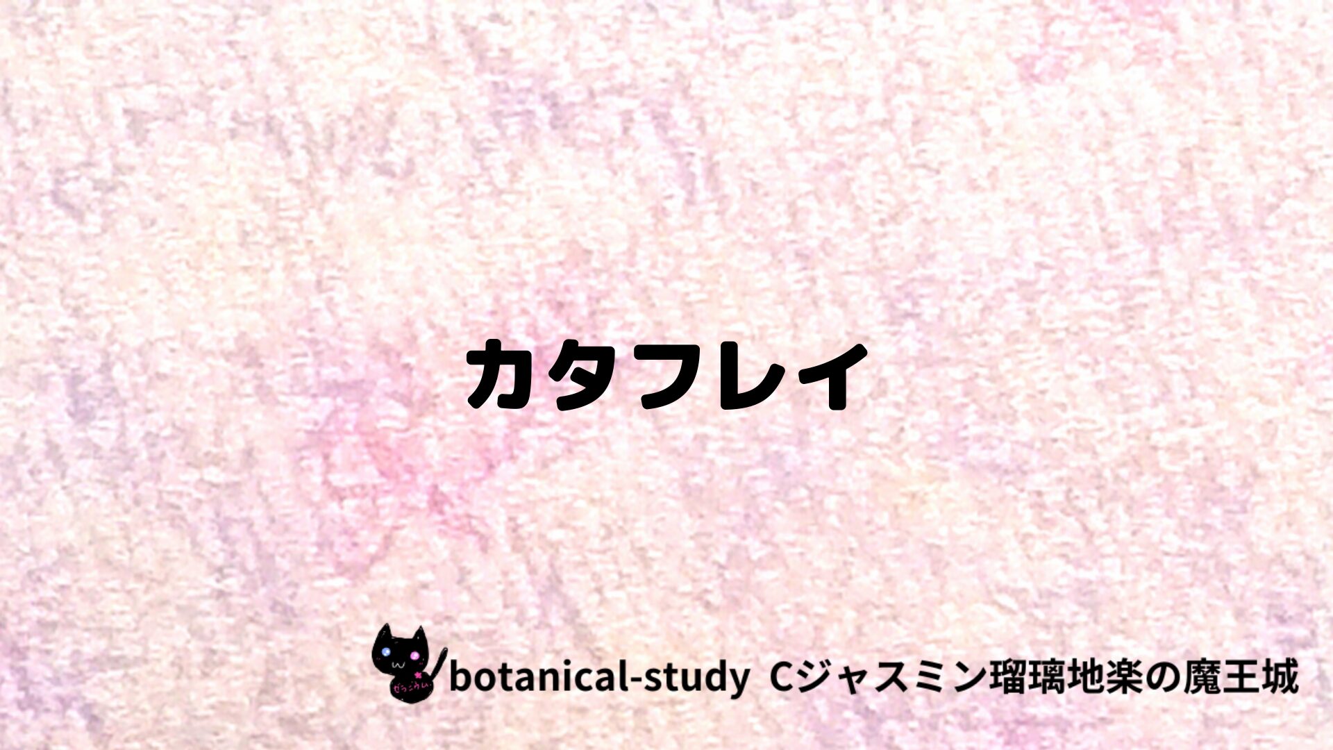 カタフレイのアロマハーブプチ辞典クイズ用アイキャッチ＠botanical-study