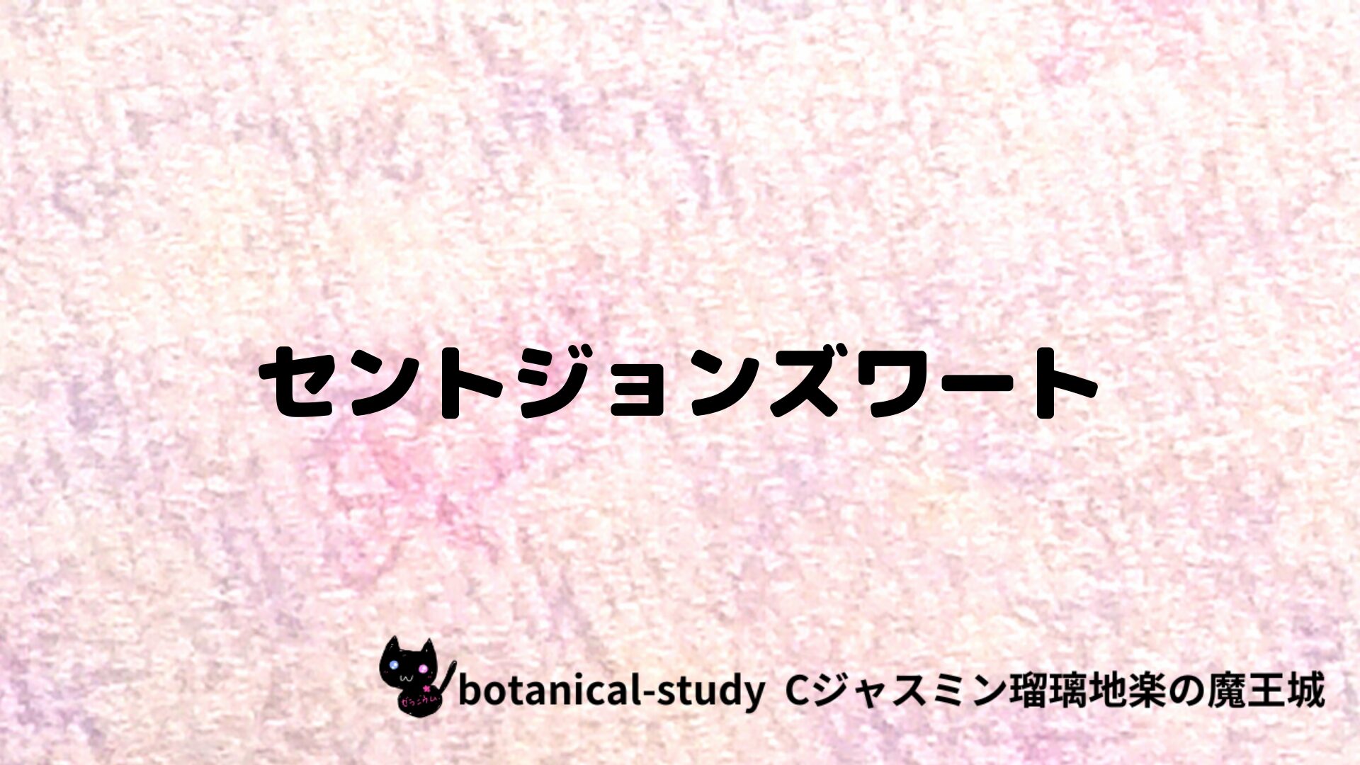 セントジョンズワートのクイックリンクバナー＠botanical-study/ハーブ