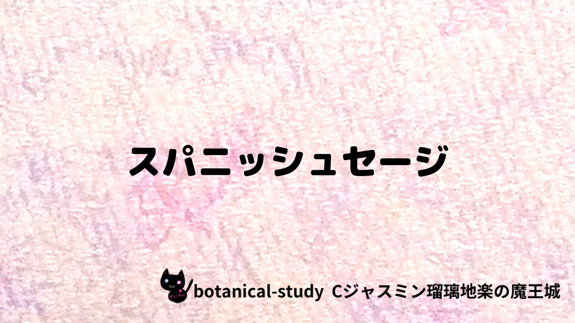 スパニッシュセージのアロマハーブプチ辞典クイズ用アイキャッチ＠botanical-study/ハーブ