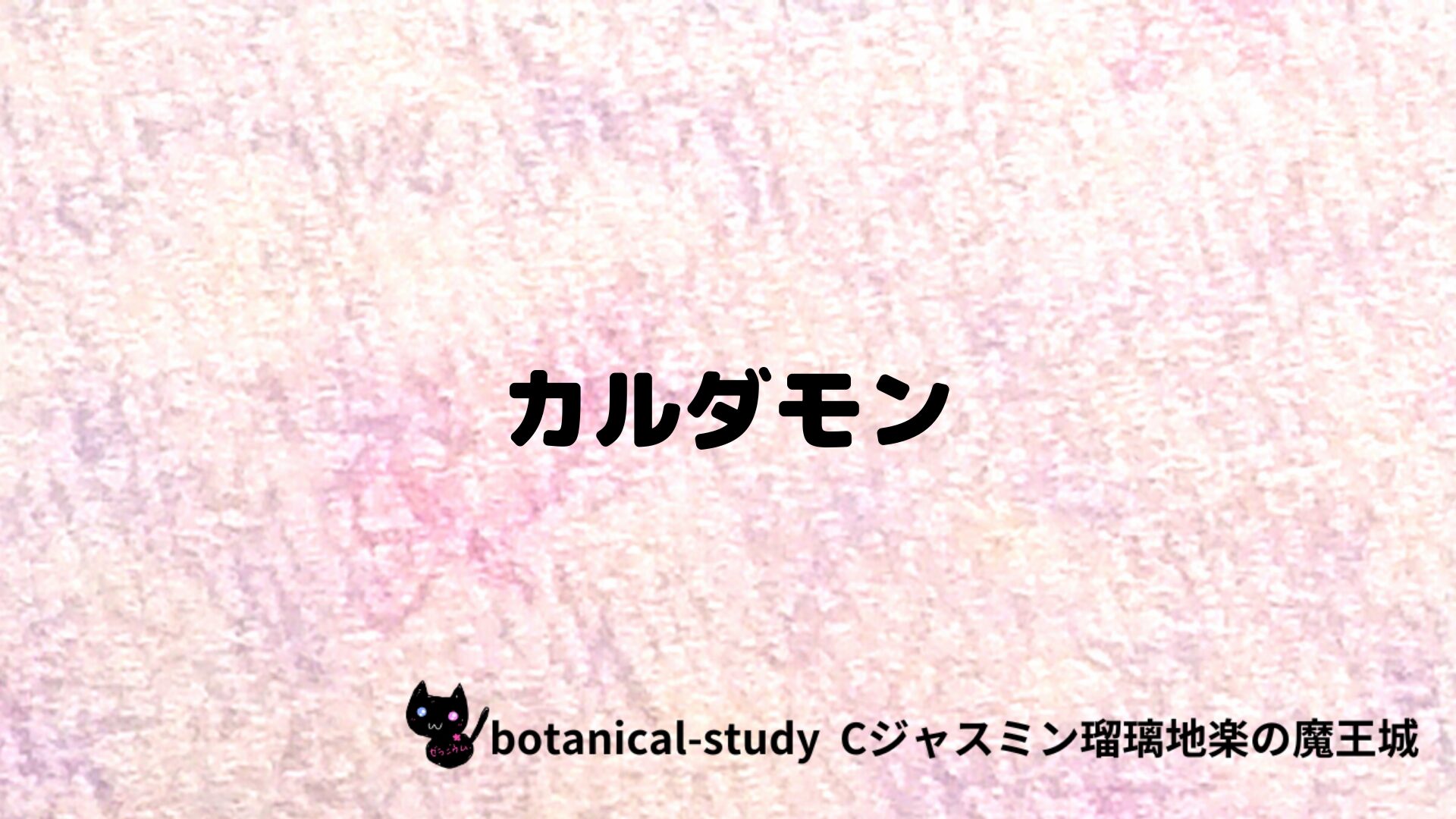 カルダモンのアロマハーブプチ辞典クイズ用アイキャッチ＠botanical-study/ハーブ