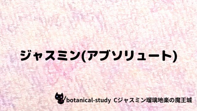 ジャスミン(アブソリュート)：プチ辞典クイズ