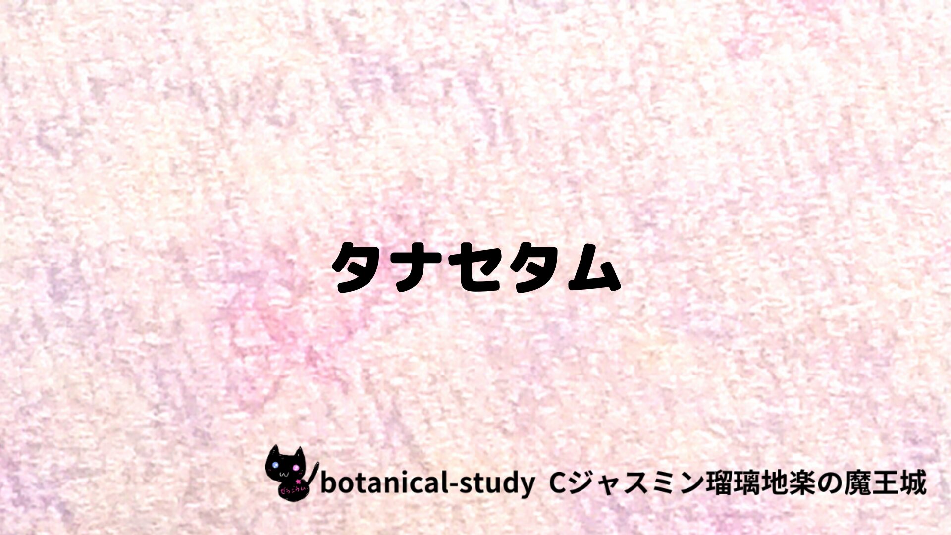 タナセタムのアロマハーブプチ辞典クイズ用アイキャッチ＠botanical-study