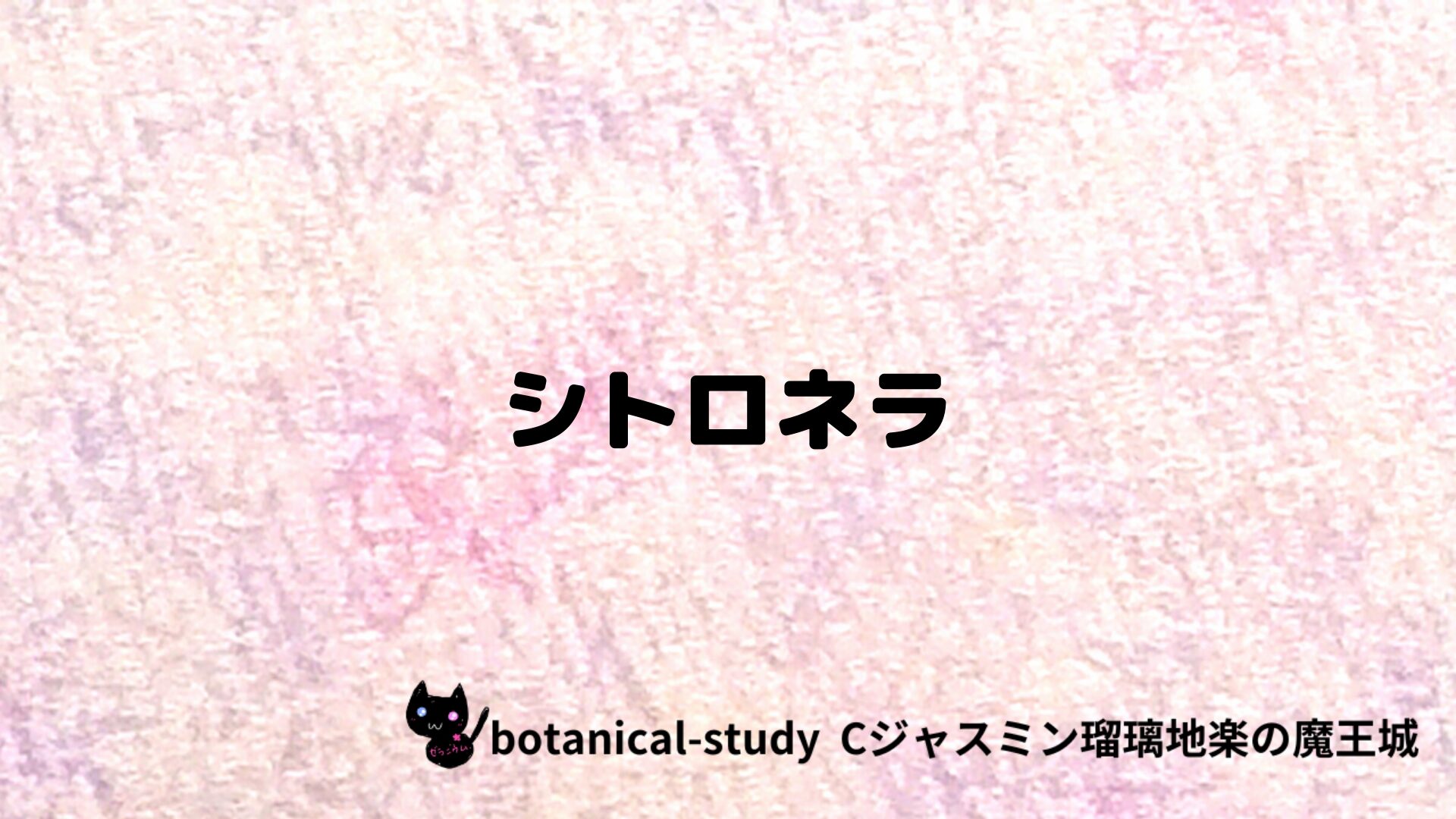 シトロネラのアロマハーブプチ辞典クイズ用アイキャッチ＠botanical-study