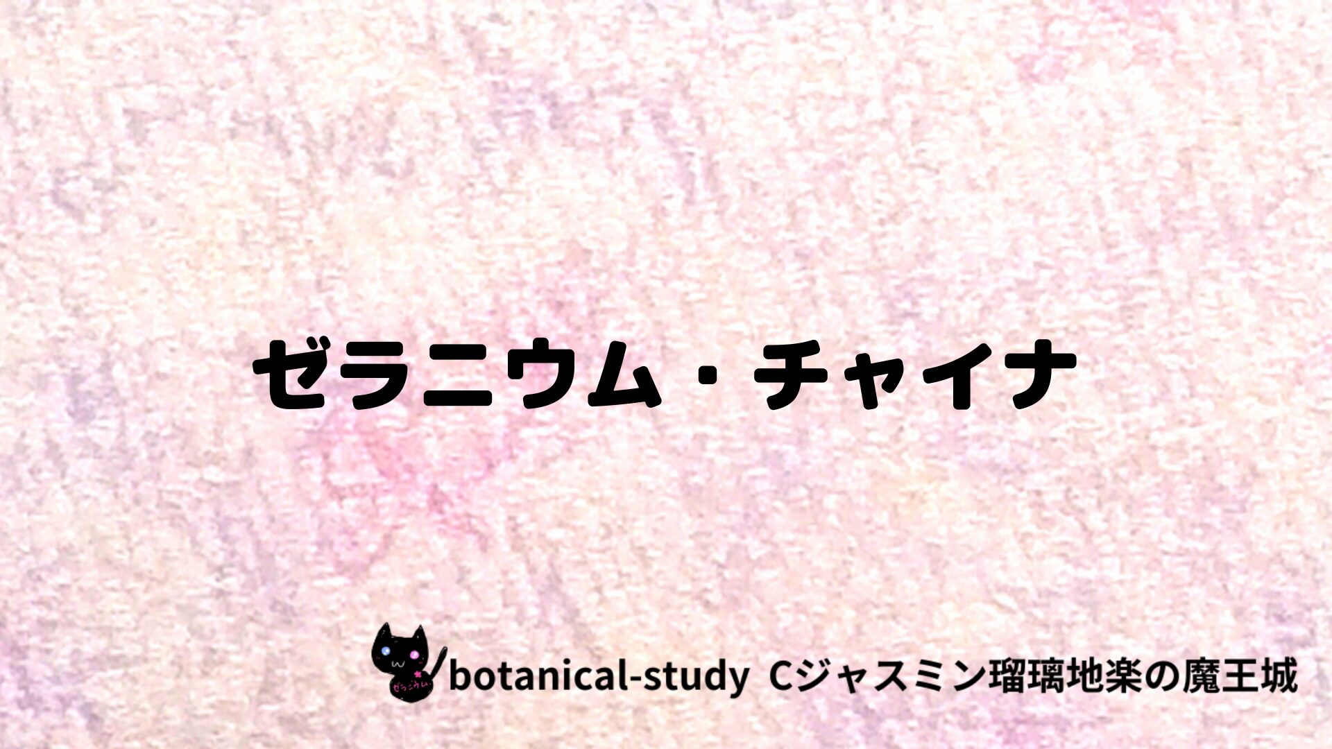 ゼラニウム・チャイナのアロマハーブプチ辞典クイズ用アイキャッチ＠botanical-study