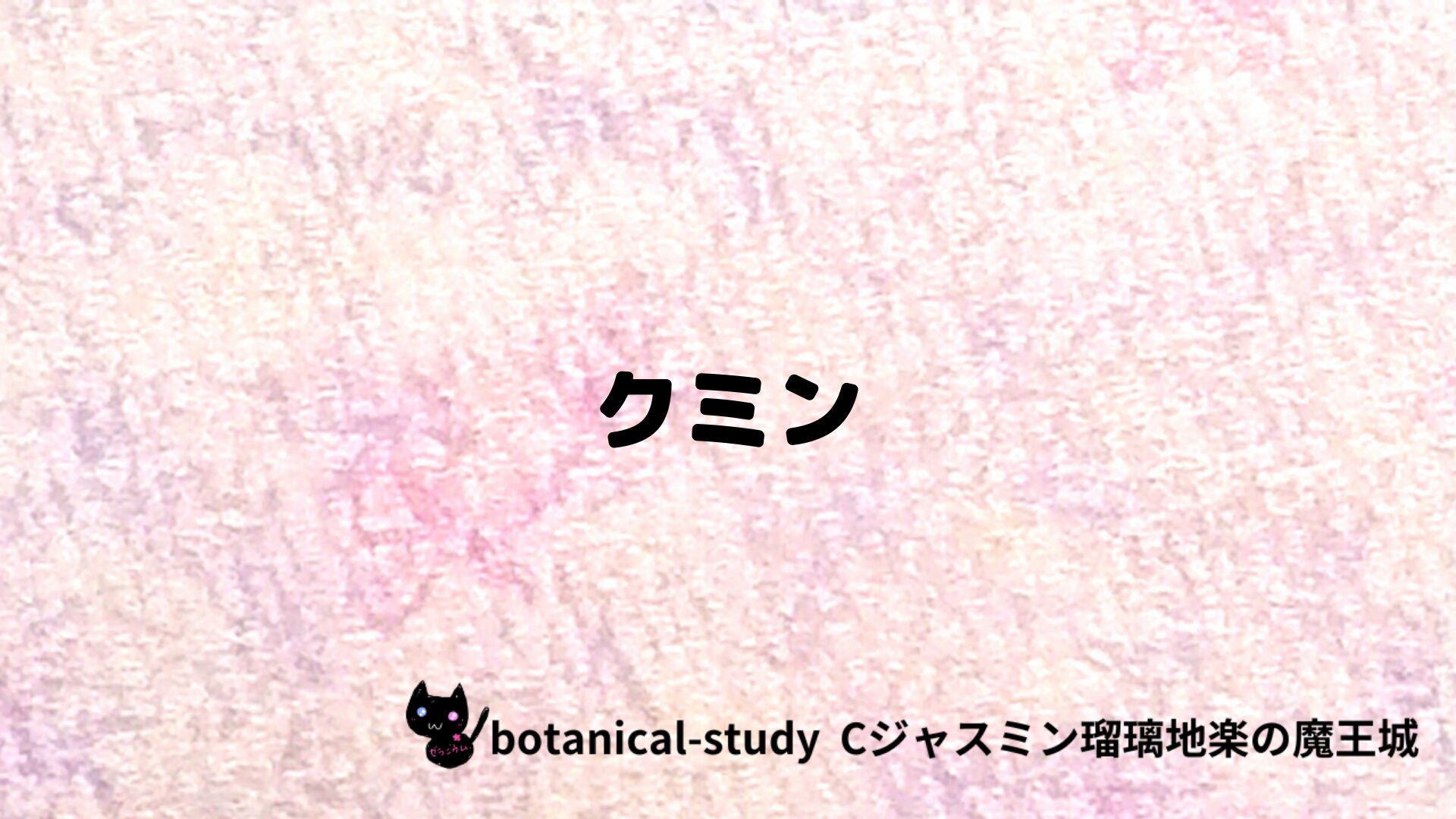 クミンのアロマハーブプチ辞典クイズ用アイキャッチ＠botanical-study/ハーブ