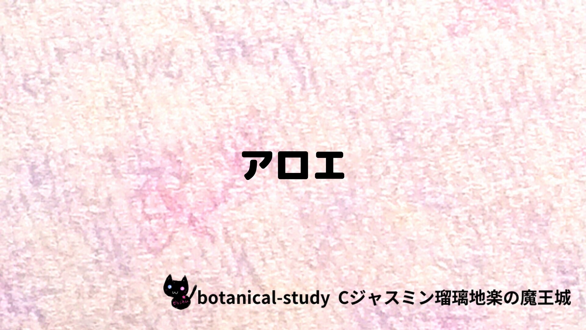 アロエのアロマハーブプチ辞典クイズ用アイキャッチ＠botanical-study/ハーブ