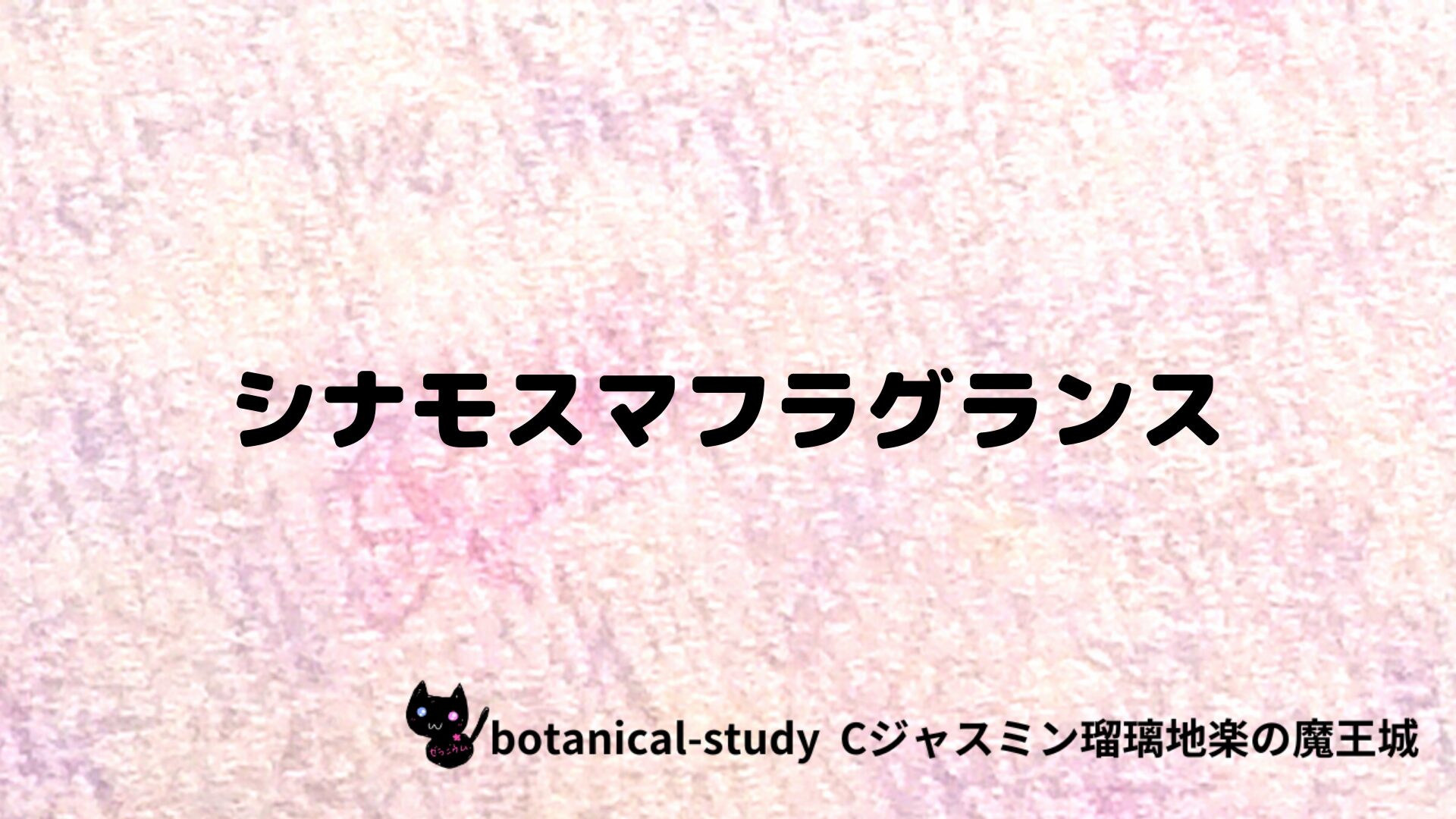 シナモスマ・フラグランスのアロマハーブプチ辞典クイズ用アイキャッチ＠botanical-study