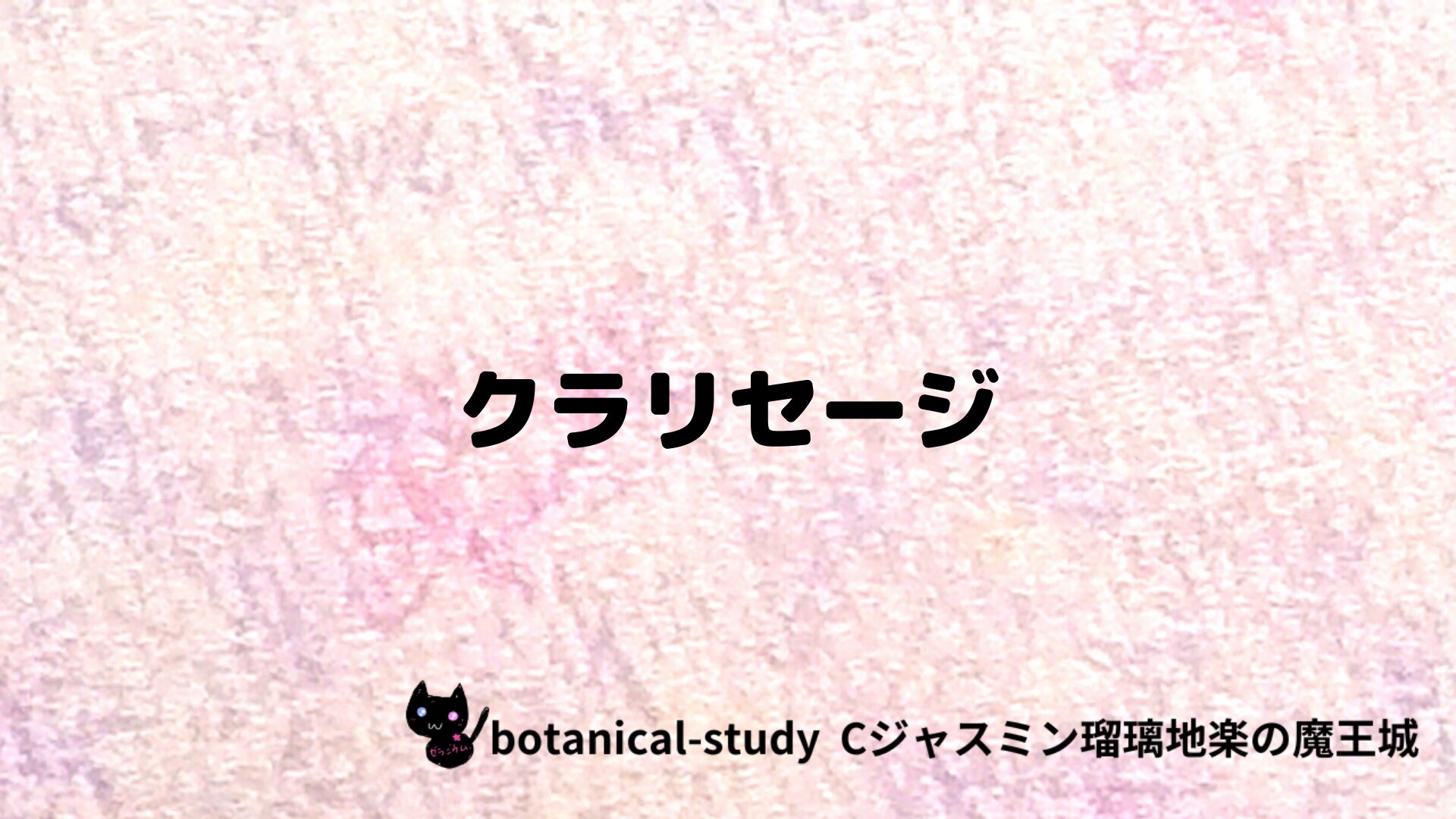 クラリセージのアロマハーブプチ辞典クイズ用アイキャッチ＠botanical-study