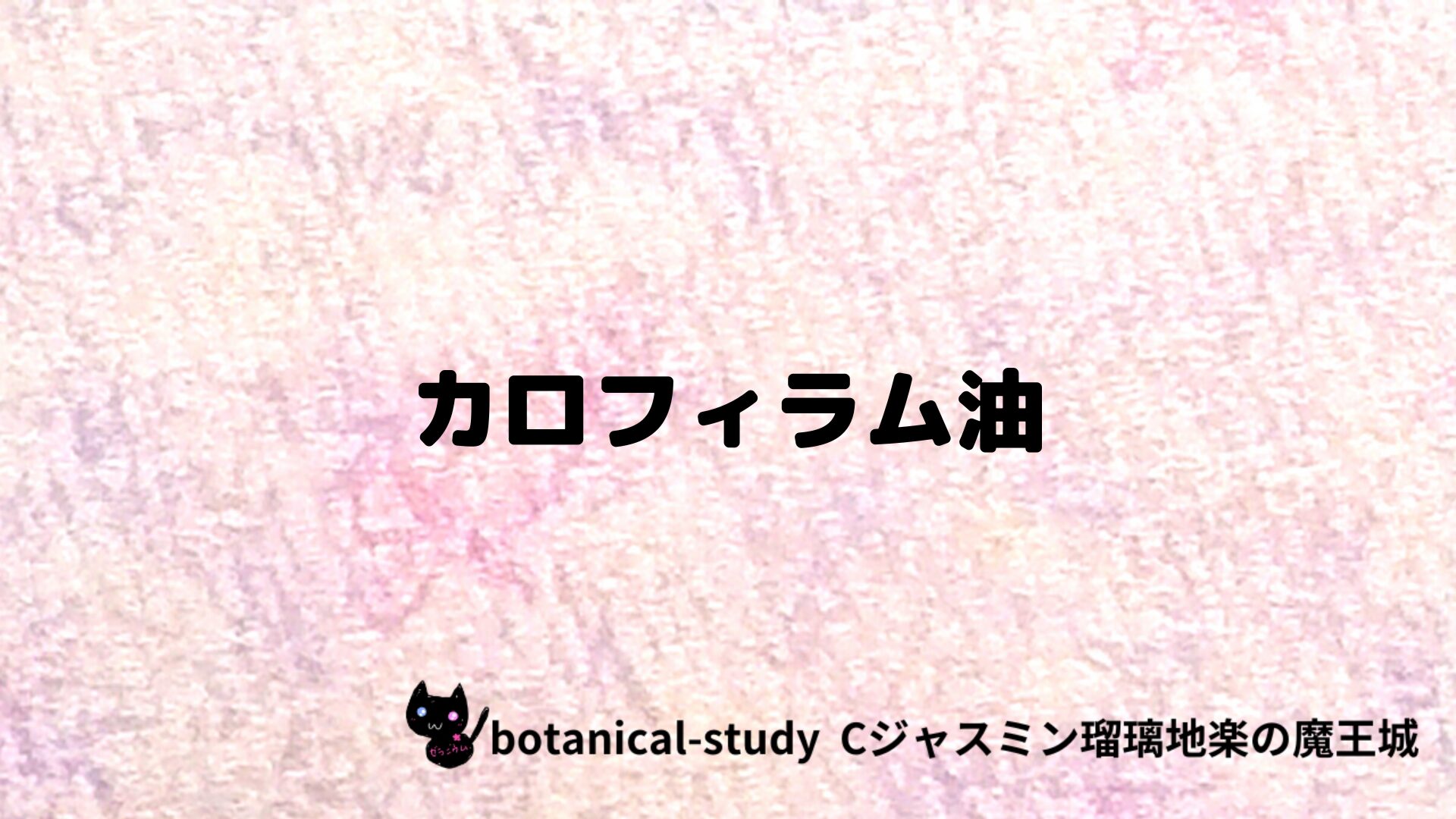 カロフィラム油のアロマハーブプチ辞典クイズ用アイキャッチ＠botanical-study