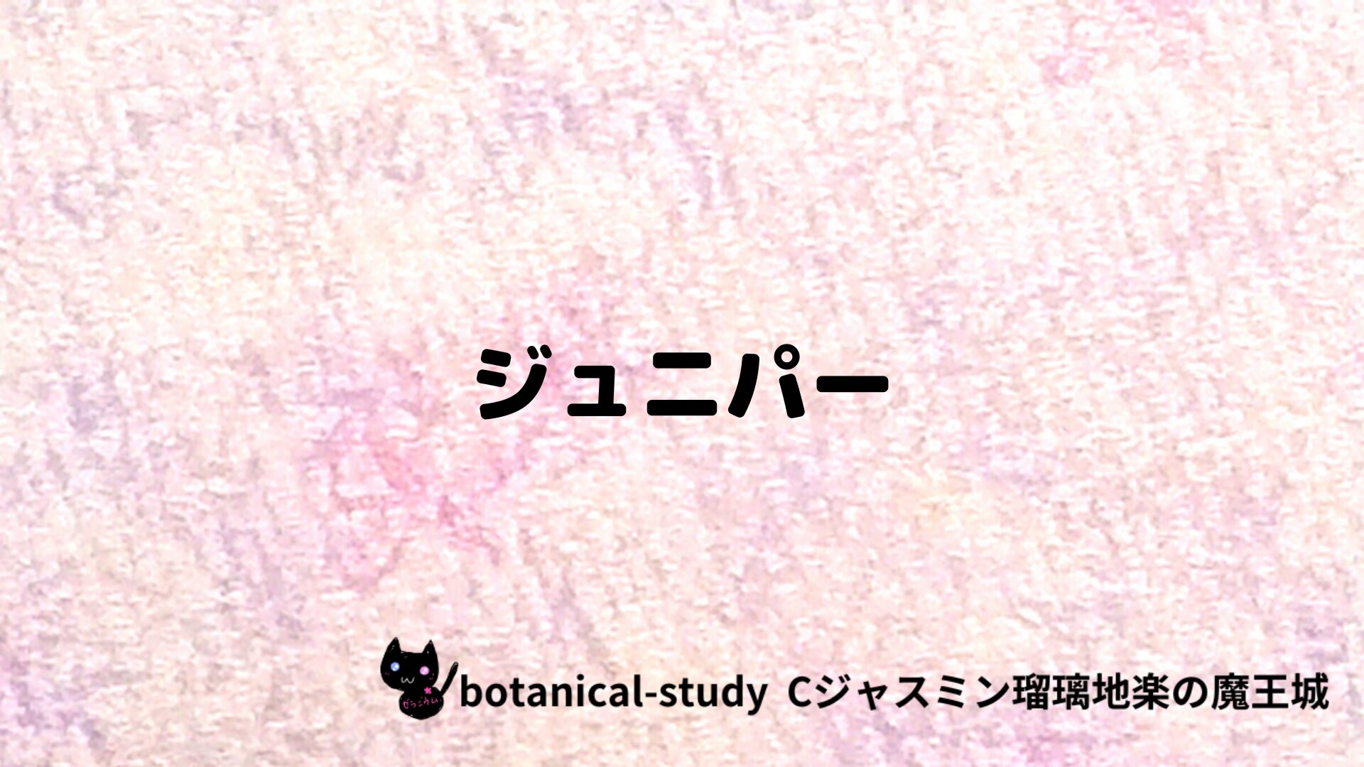 ジュニパーのアロマハーブプチ辞典クイズ用アイキャッチ＠botanical-study/ハーブ