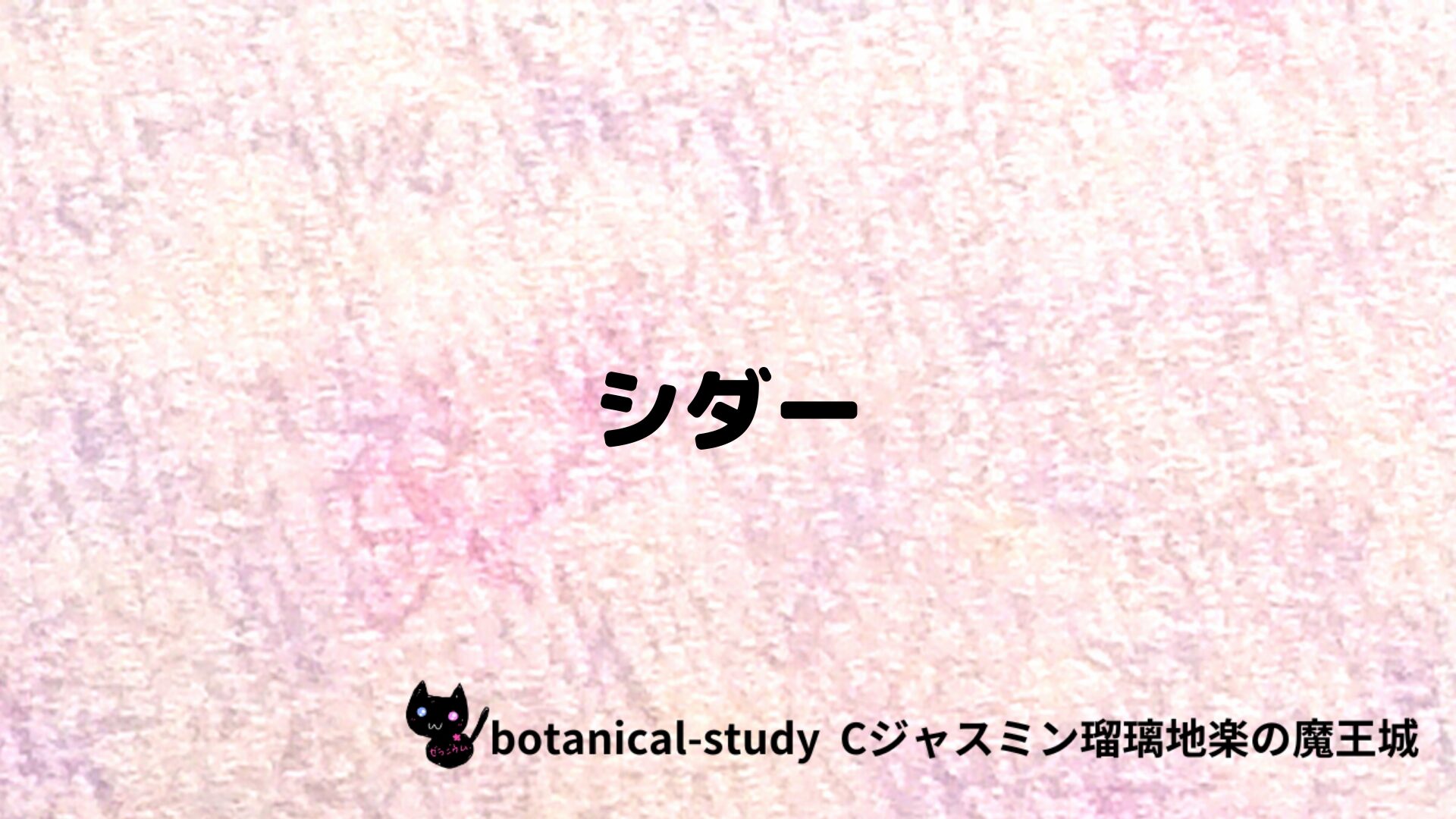 シダーのアロマハーブプチ辞典クイズ用アイキャッチ＠botanical-study