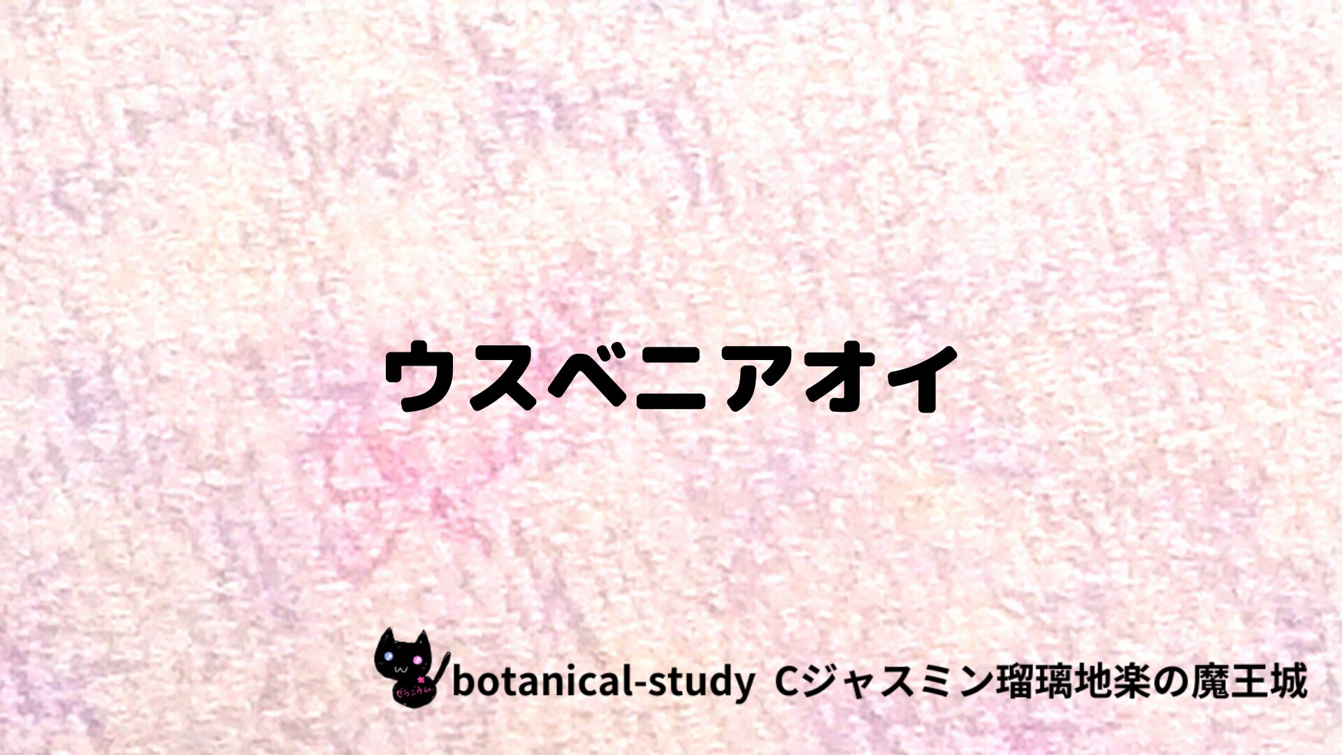 ウスベニアオイのアロマハーブプチ辞典クイズ用アイキャッチ＠botanical-study/ハーブ