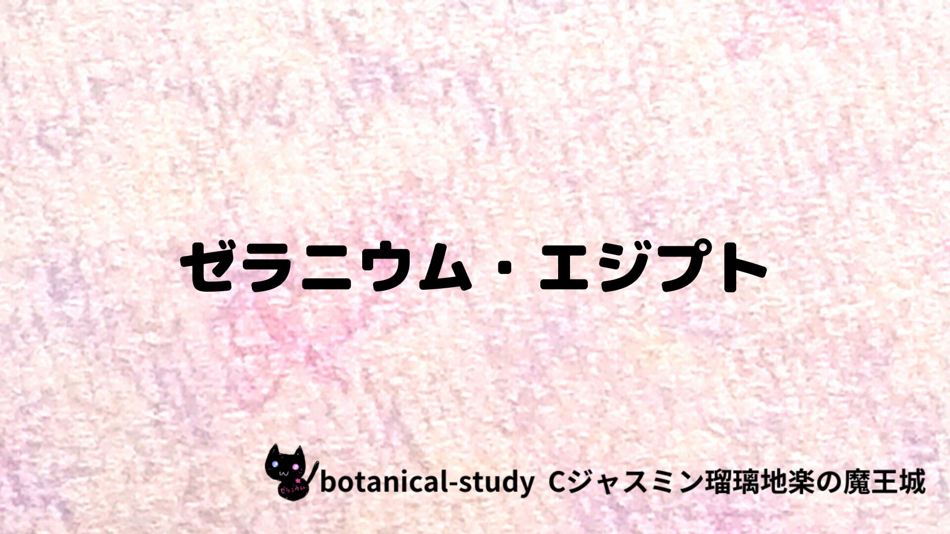 ゼラニウム・エジプトのアロマハーブプチ辞典クイズ用アイキャッチ＠botanical-study