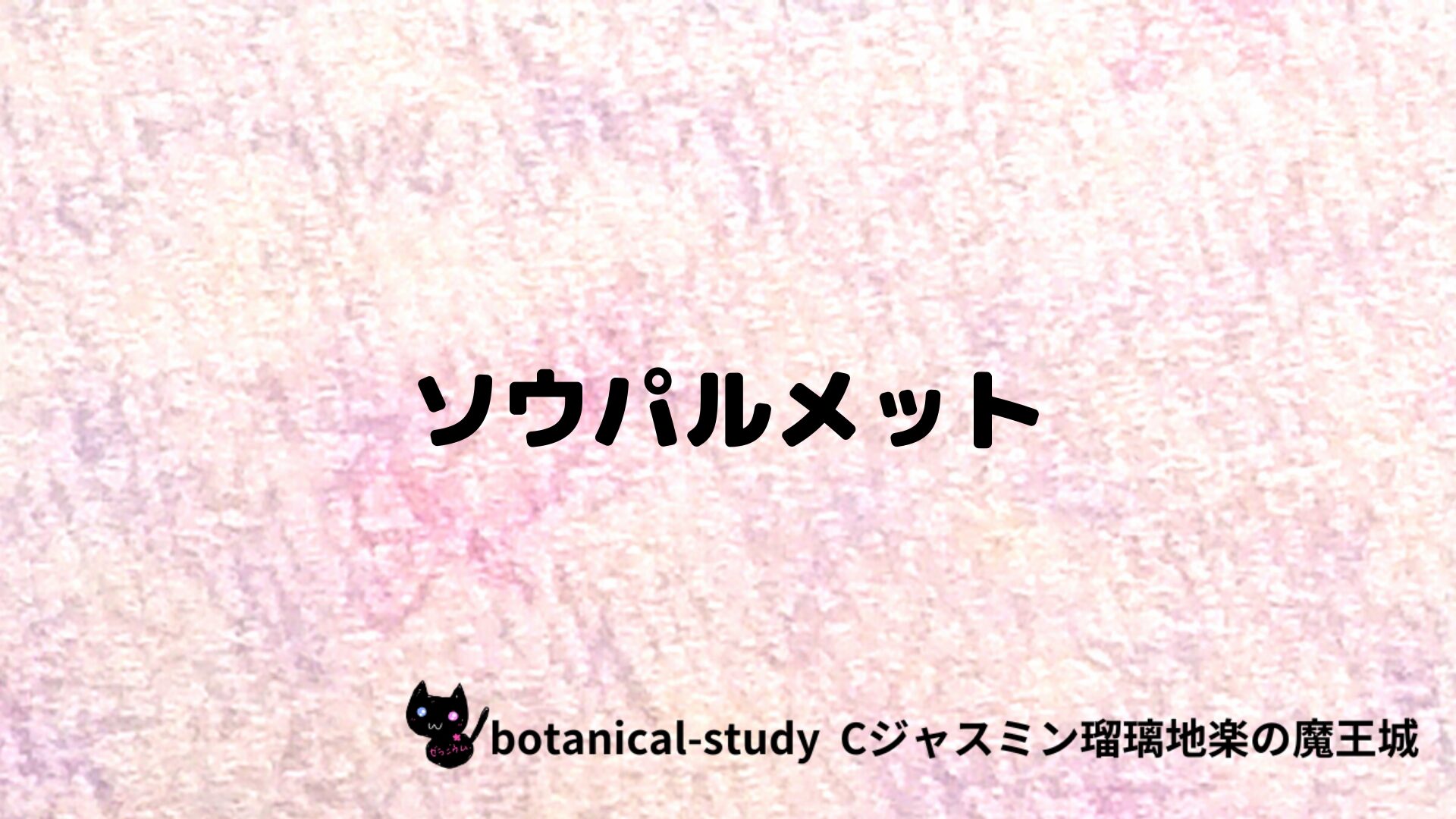 ソウパルメットのアロマハーブプチ辞典クイズ用アイキャッチ＠botanical-study/ハーブ