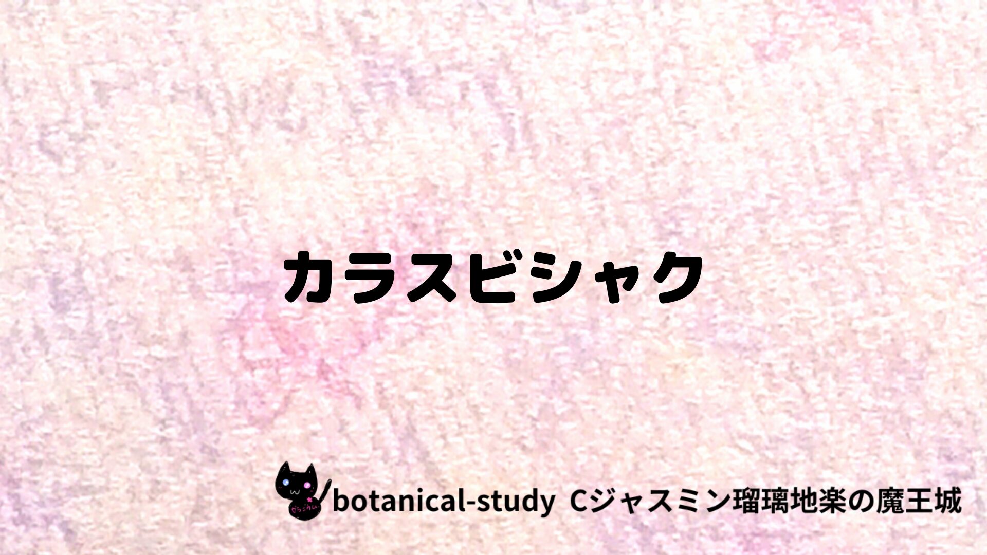 カラスビシャクのアロマハーブプチ辞典クイズ用アイキャッチ＠botanical-study/ハーブ