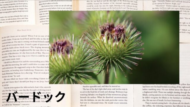 バードック：プチ辞典