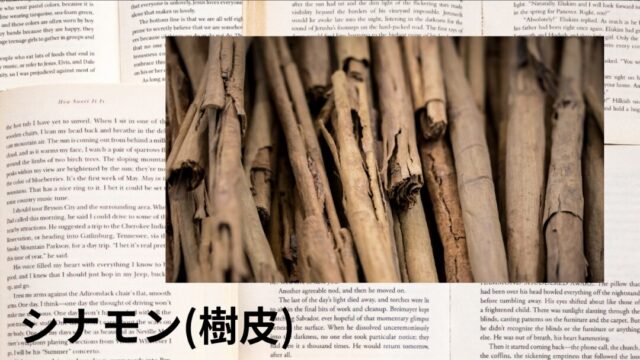 シナモン(樹皮):プチ辞典