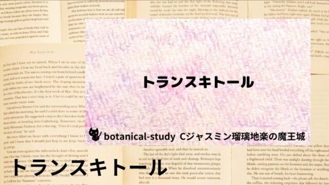 トランスキトール:プチ辞典