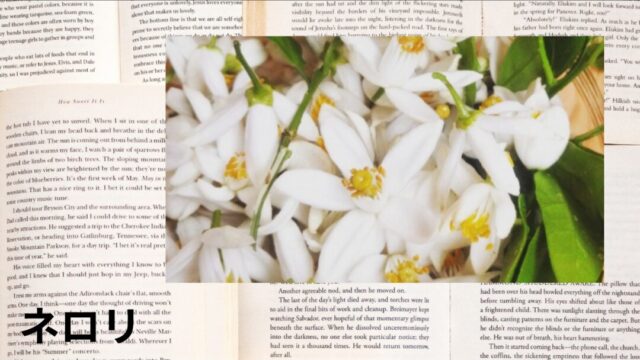 ネロリ:プチ辞典