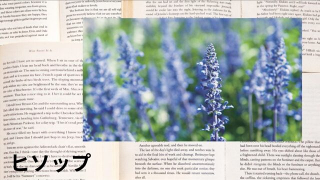 ヒソップ：プチ辞典