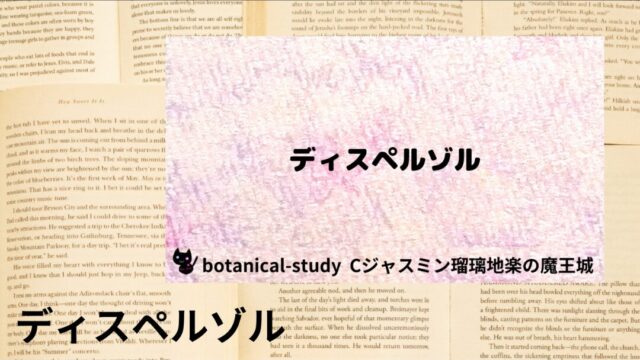 ディスペルゾル:プチ辞典