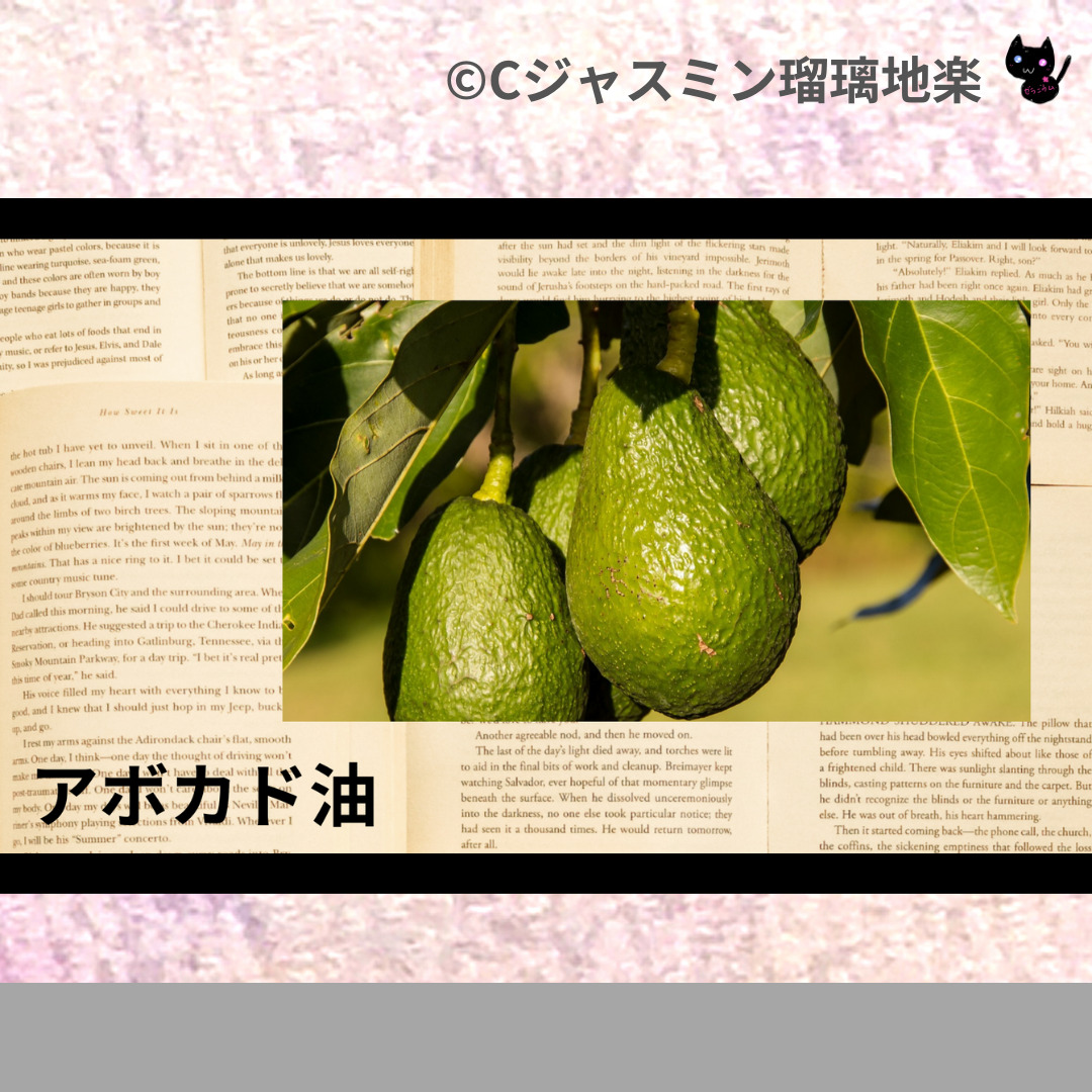アボカド油のアロマハーブプチ辞典クイズ用アイキャッチ@botanical-study