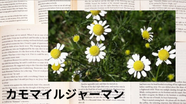 カモマイル・ジャーマン:プチ辞典