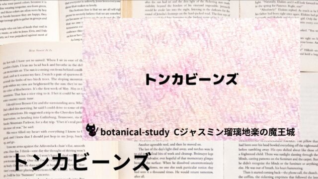 トンカビーンズ:プチ辞典