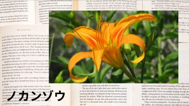 ノカンゾウ：プチ辞典